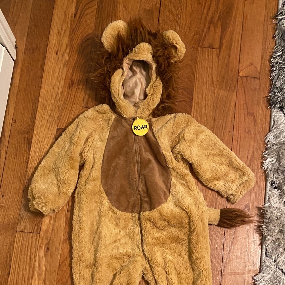 Lion costume